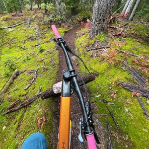 bike handlebars with pink grips in the middle of a trail