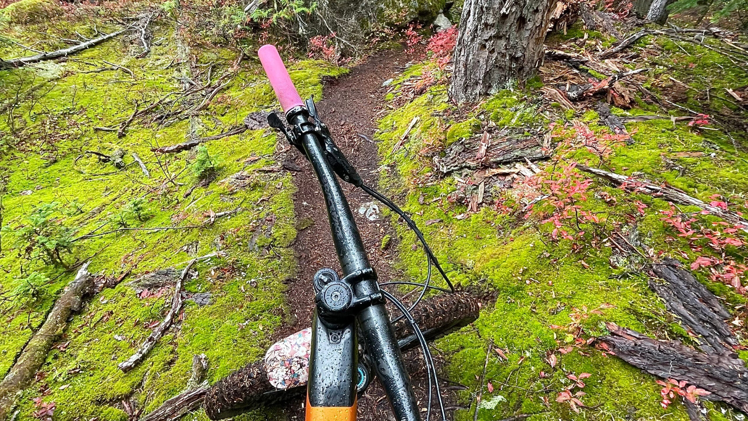 bike handlebars with pink grips in the middle of a trail best mountain bike gear under 50