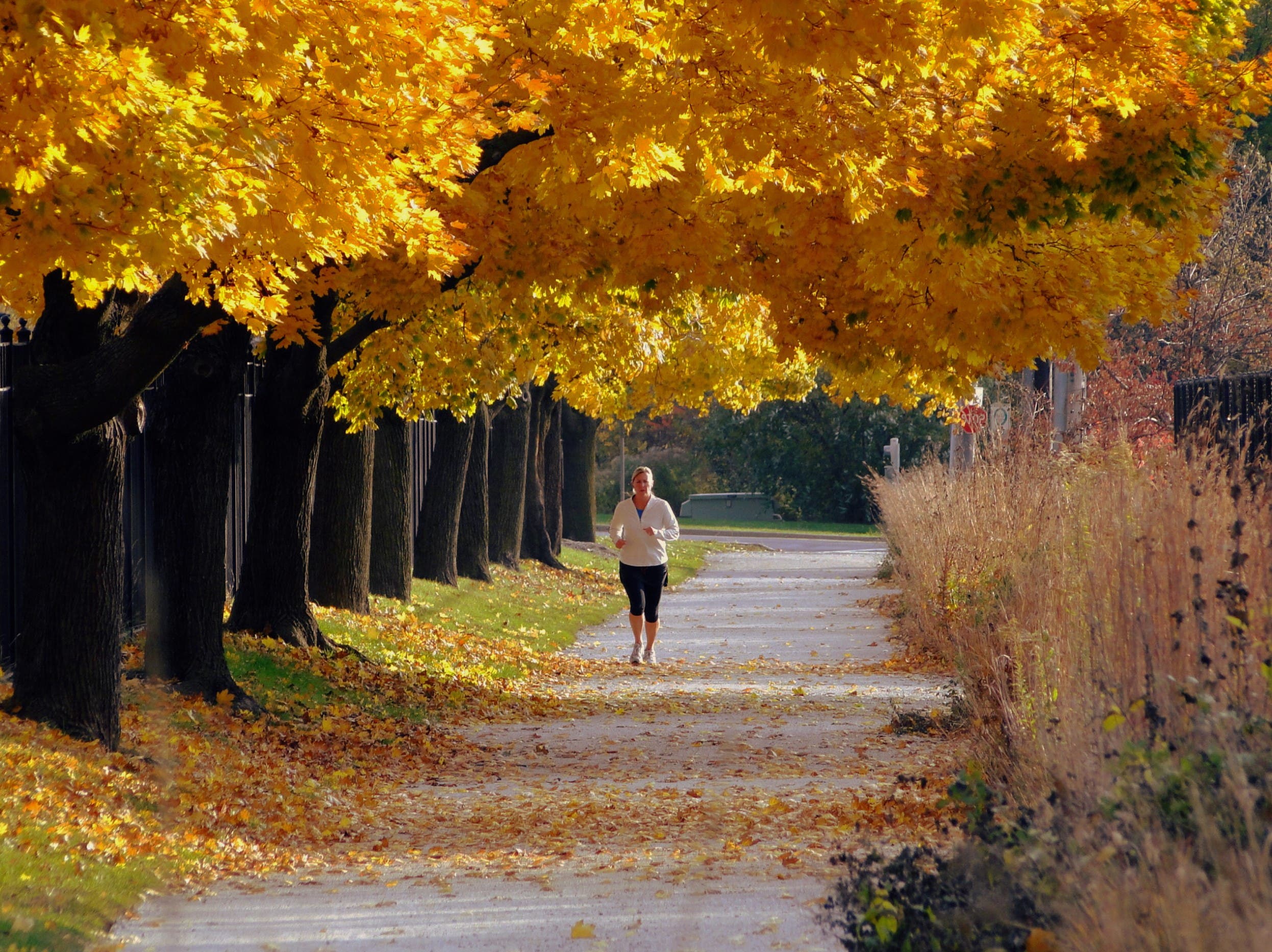 Illinois Prairie Path in downtown Wheaton