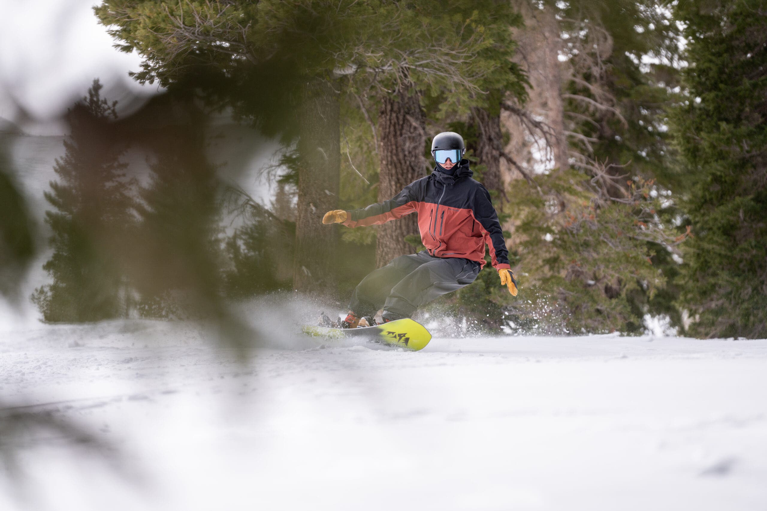 snowboarder cuts through trees