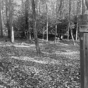 a wooded clearing and AT sign