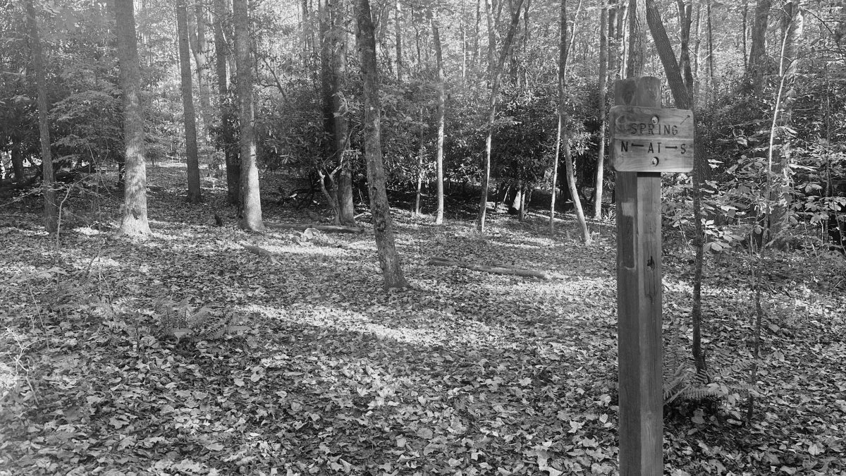 The Missing Memorial for the Murdered Appalachian Trail Hiker