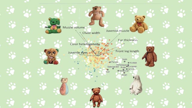 The Teddy Bear Is Designed to Play on Our Emotions. New Research Says That Needs to Change.