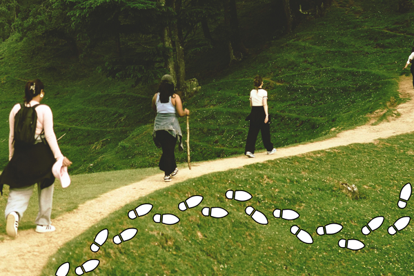 people walking on a trail