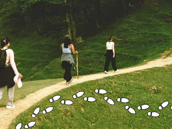 people walking on a trail