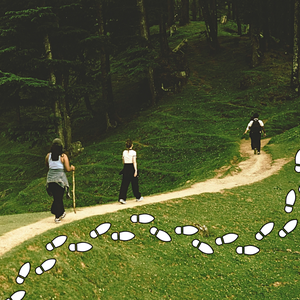 people walking on a trail