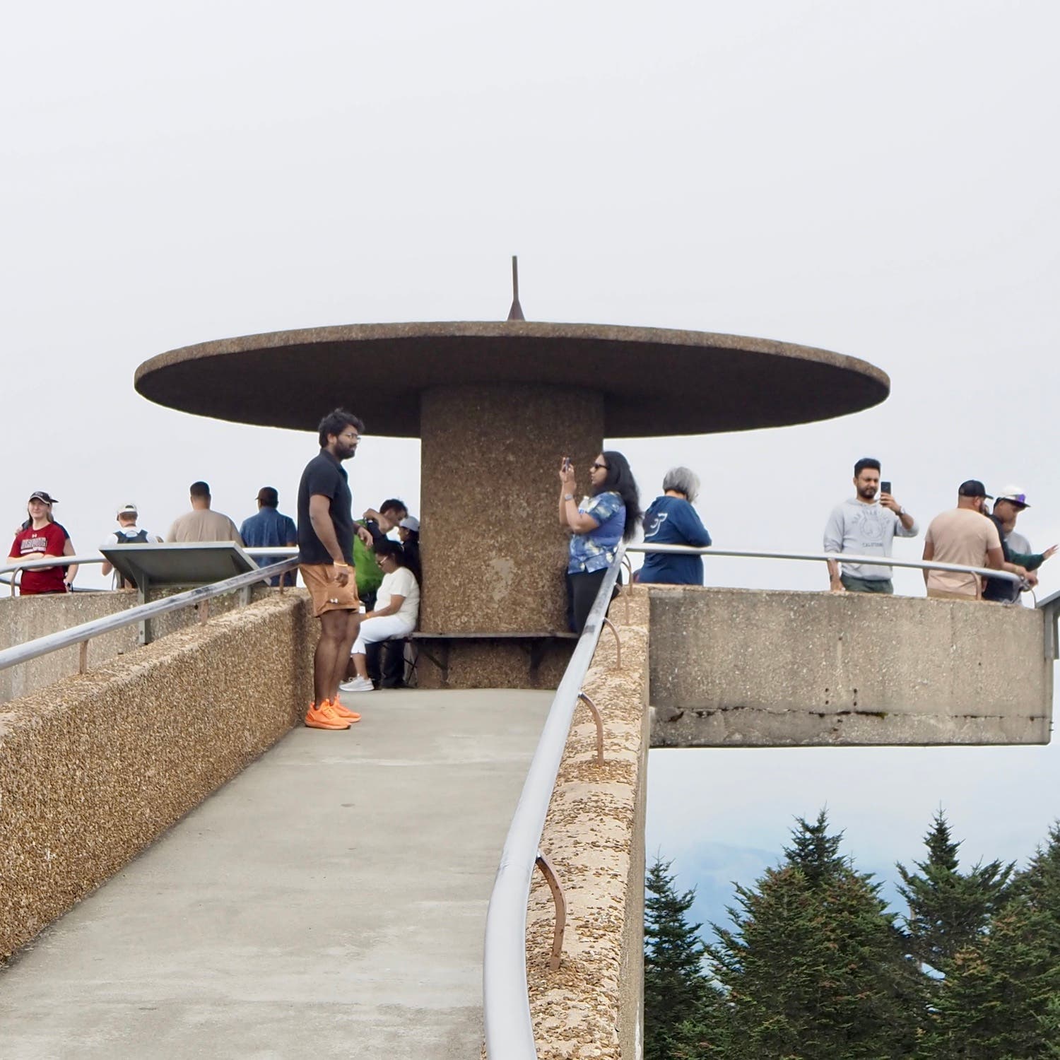 crowds on structure over trees