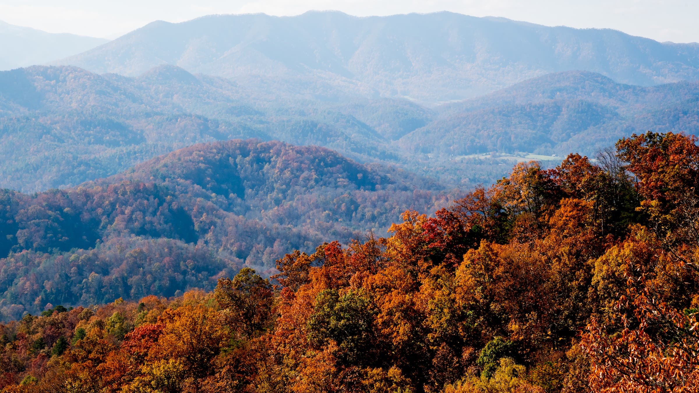 fall leaves in mountains