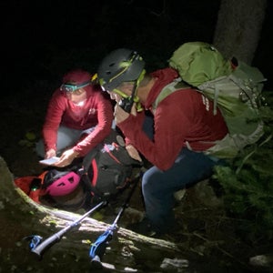 Whistles are cheap, light and nearly foolproof