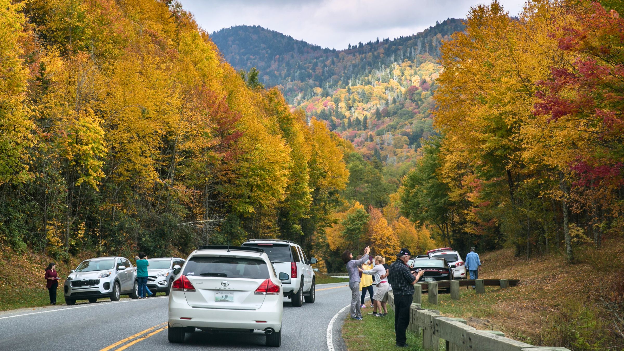 crowded road with fall trees