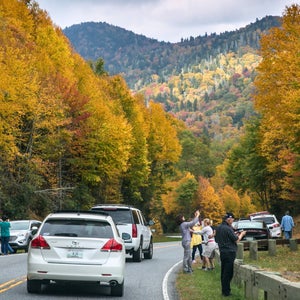 crowded road with fall trees