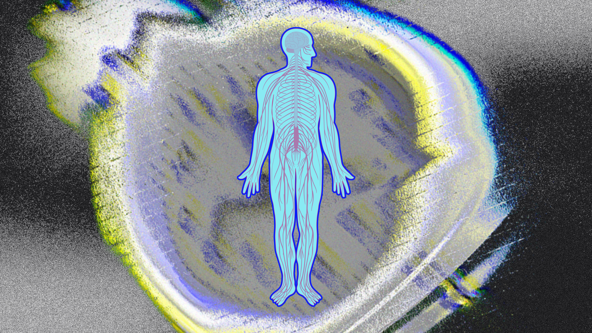 nervous system on clock background