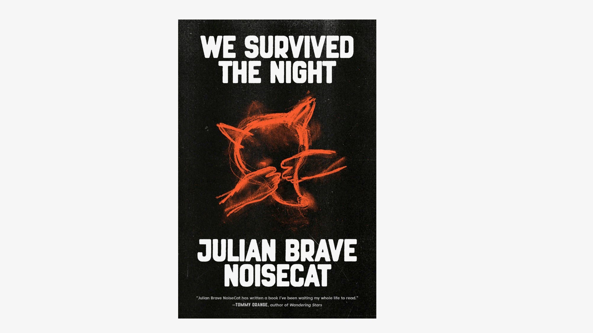 We Survived the Night Book Cover 