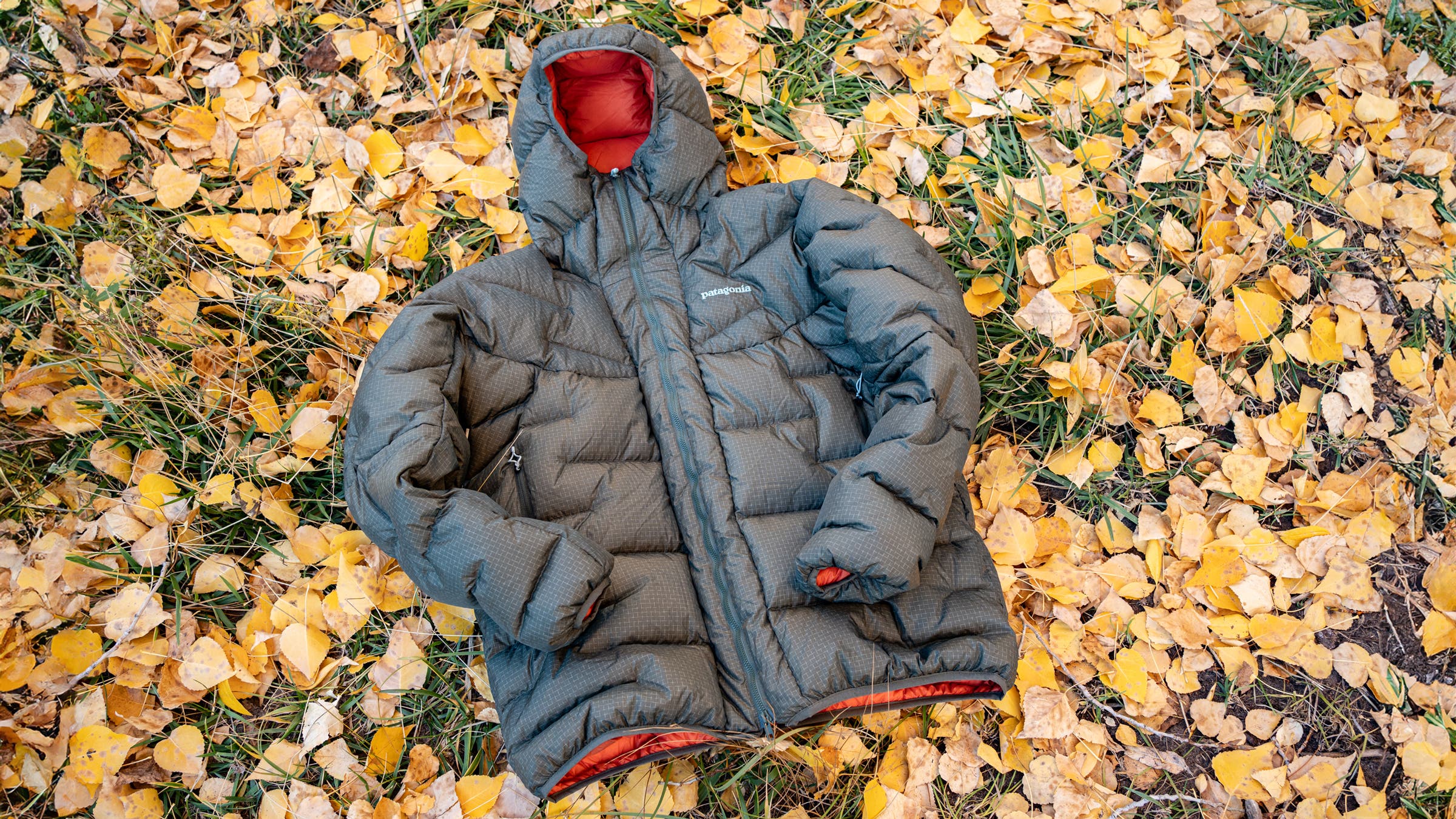 Patagonia Durable Down Parka in leaves