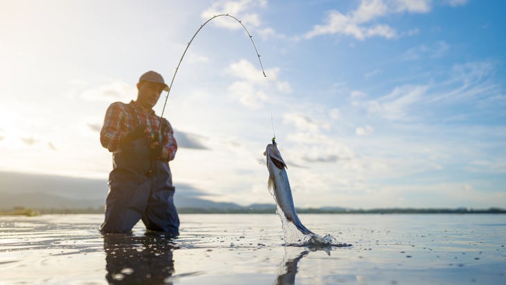 Bass Pro Shops Fisherman's Holiday Gift Guide