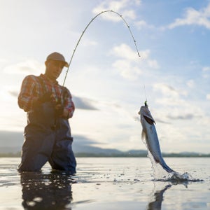 Bass Pro Shops Fisherman's Holiday Gift Guide