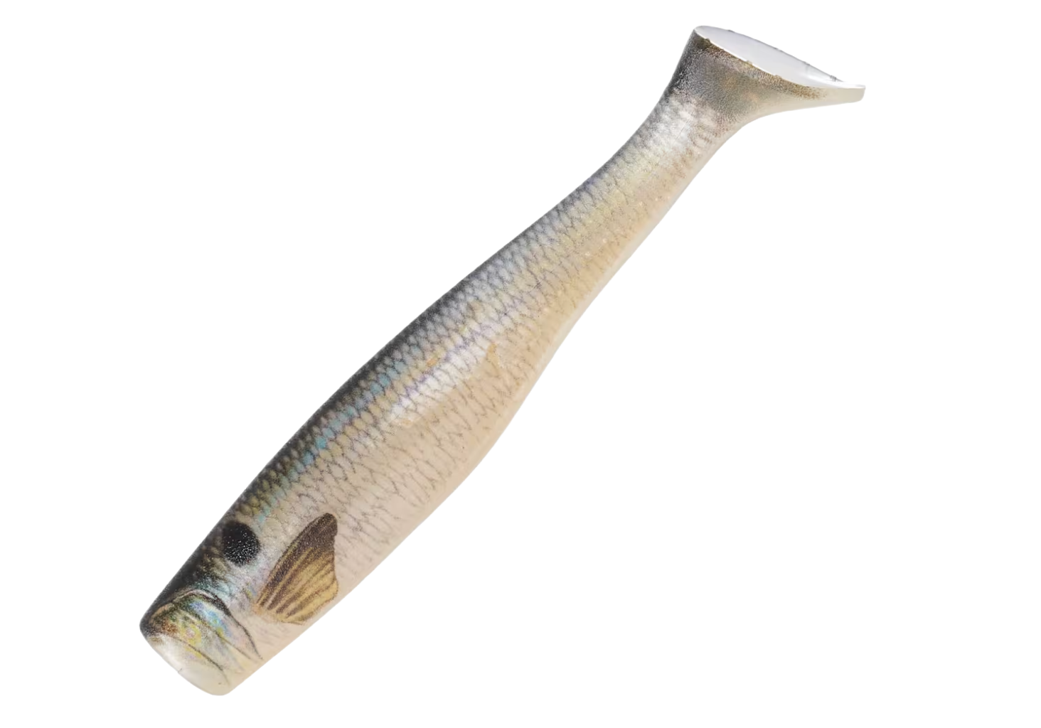 Johnny Morris Bio Bait