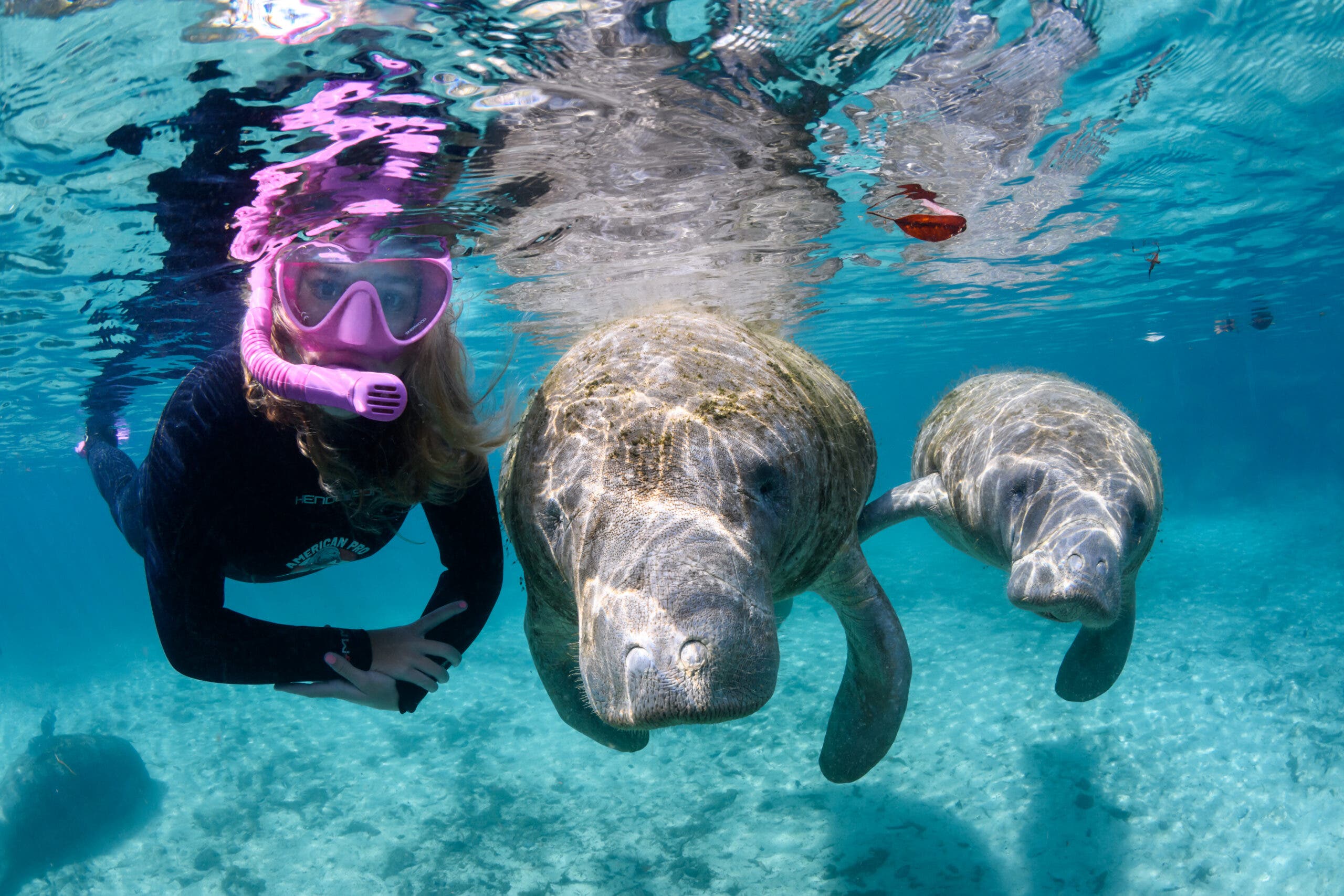 Floating with manatees