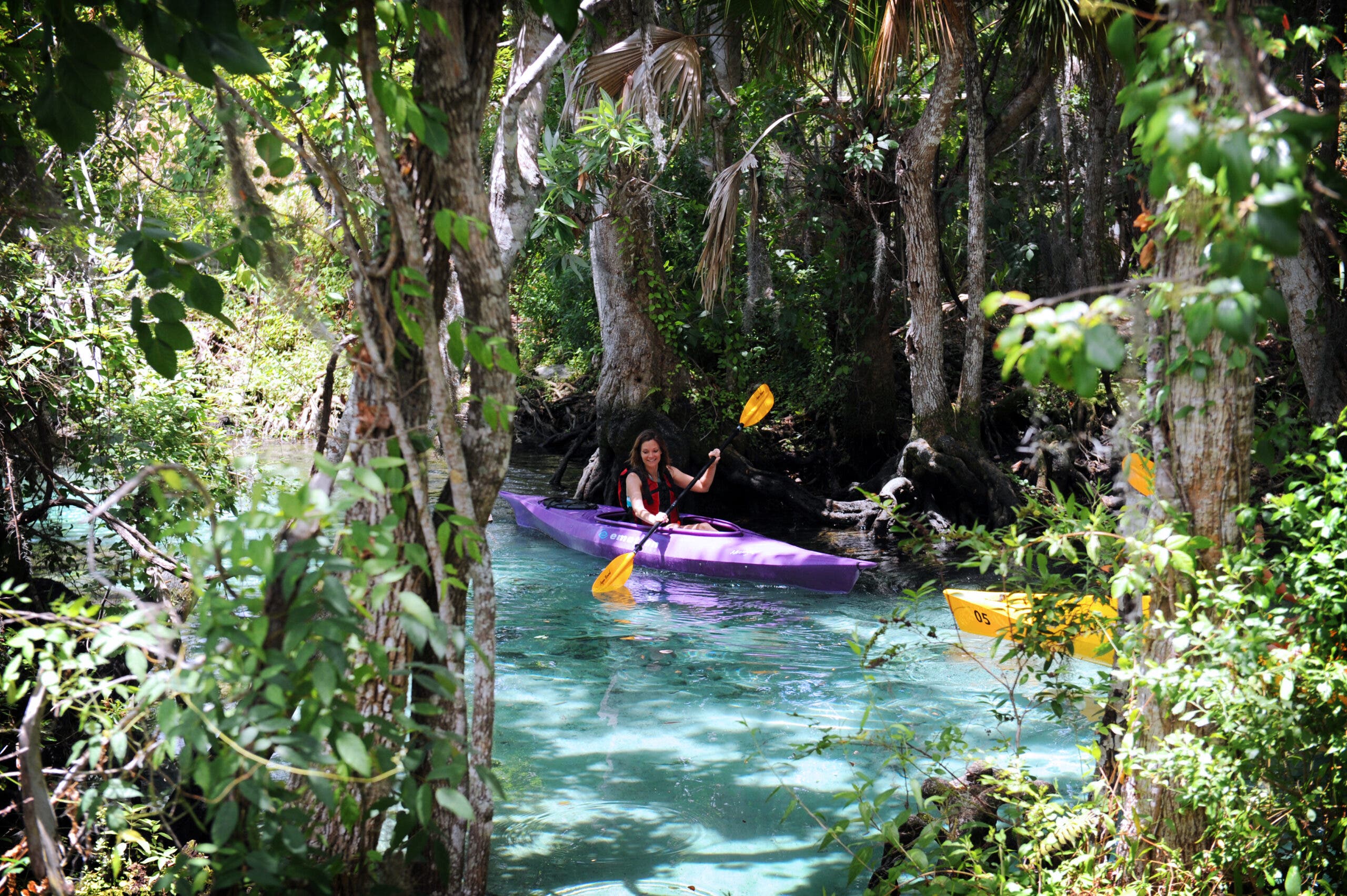 Paddling in Crystal River