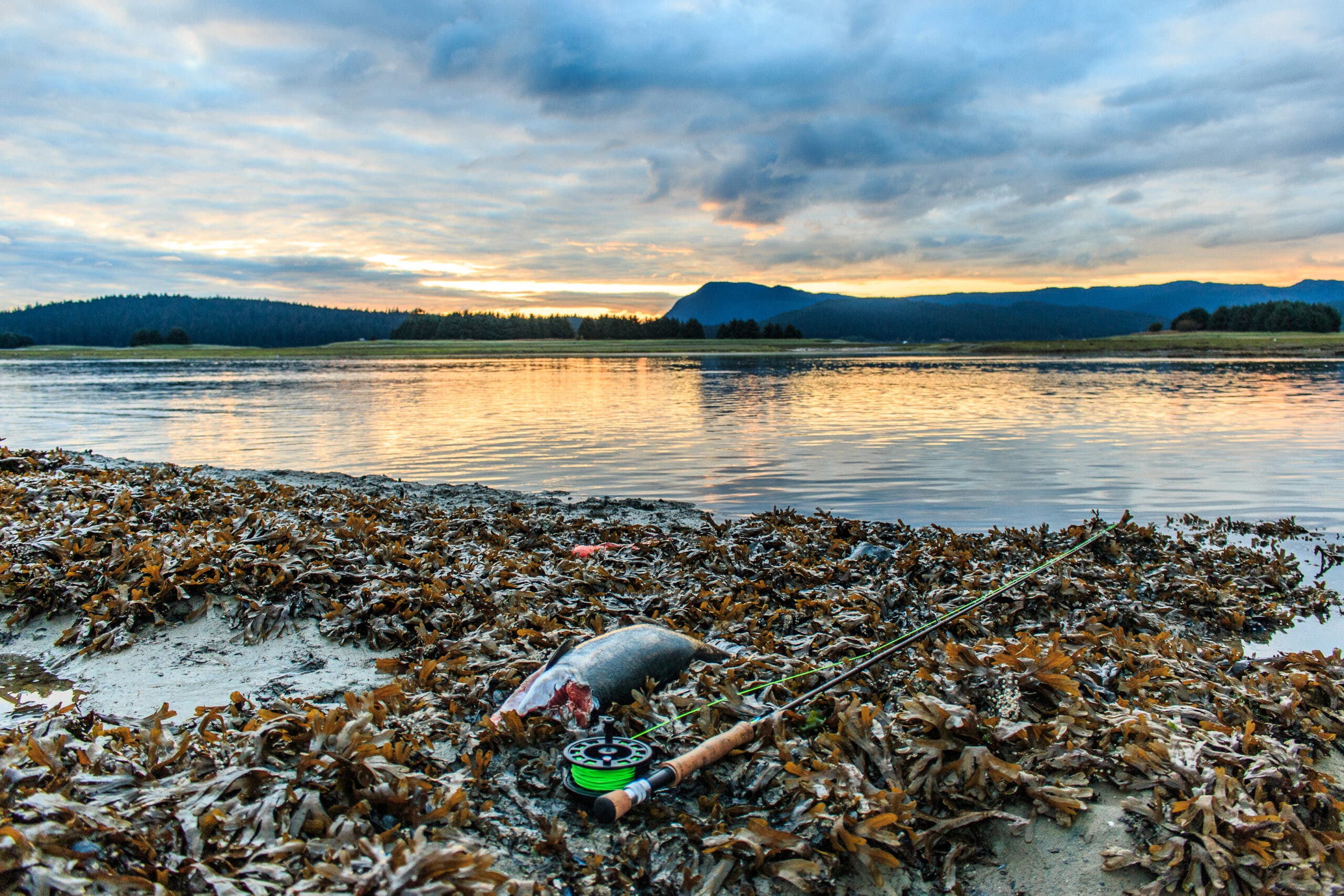 Juneau Alaska Fishing