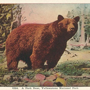 Smith Collection/Gado/Getty Images