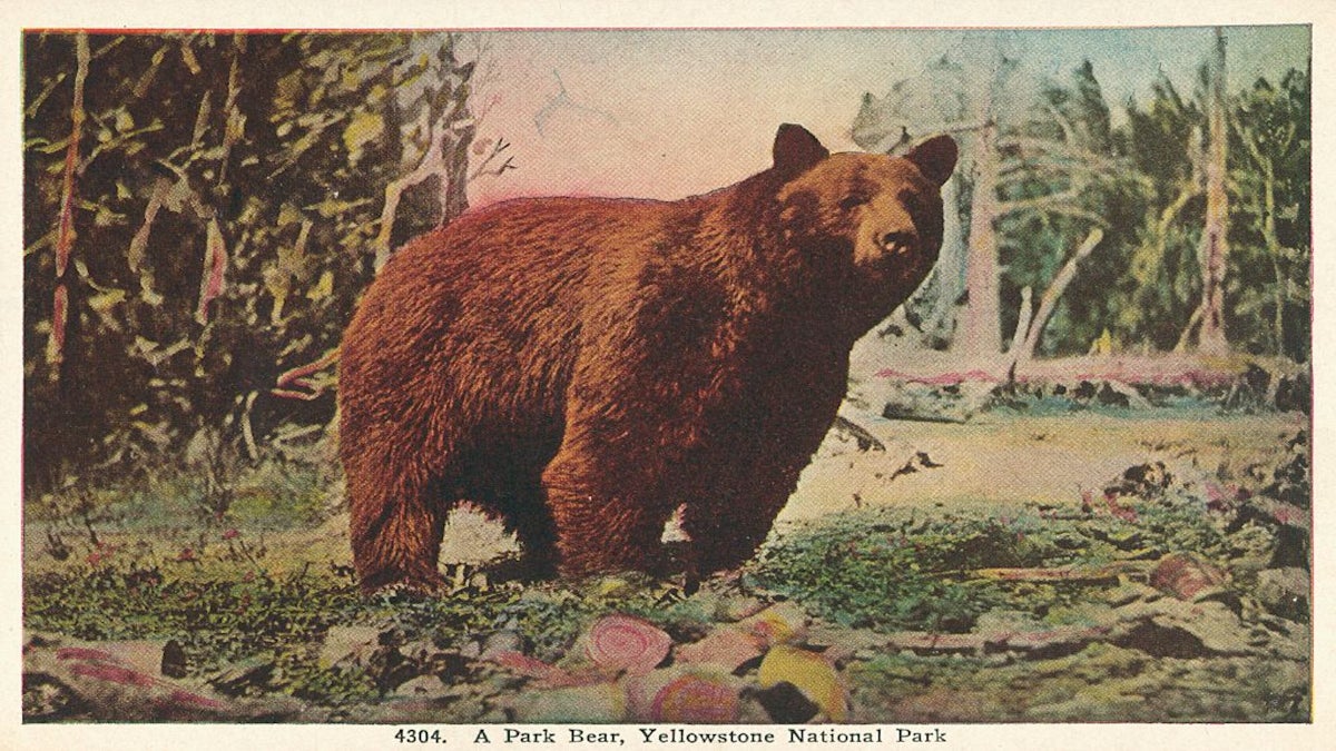 Op-Ed: For Thanksgiving, I Plan to Bring Up the National Park Service Cuts