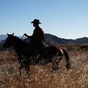 High Horse: The Black Cowboy