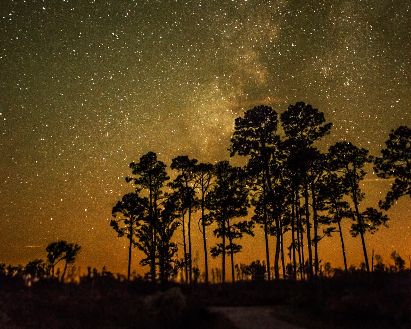 Okefenokee Swamp Dark Sky Park