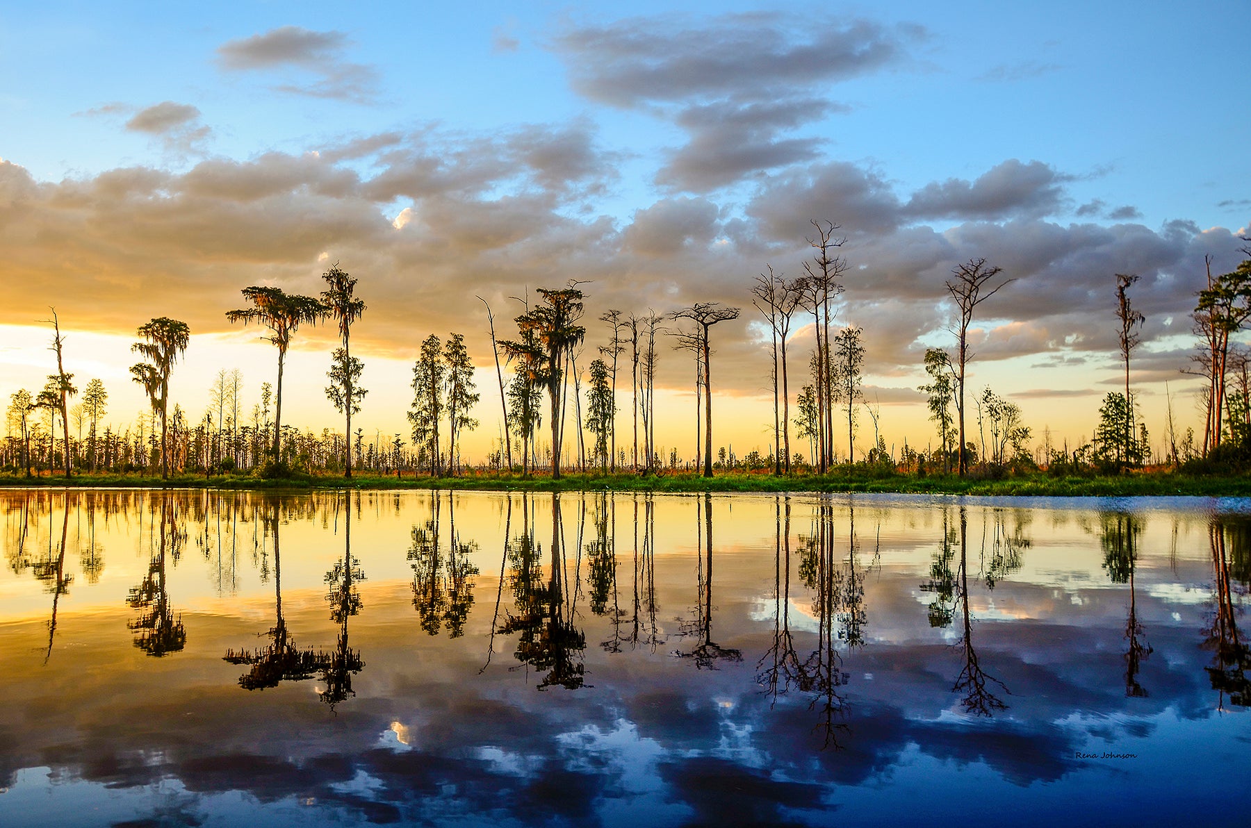 Stephen C. Foster-Sunset Boat Tour