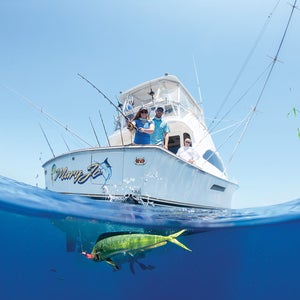 Florida Keys Fishing Mahi