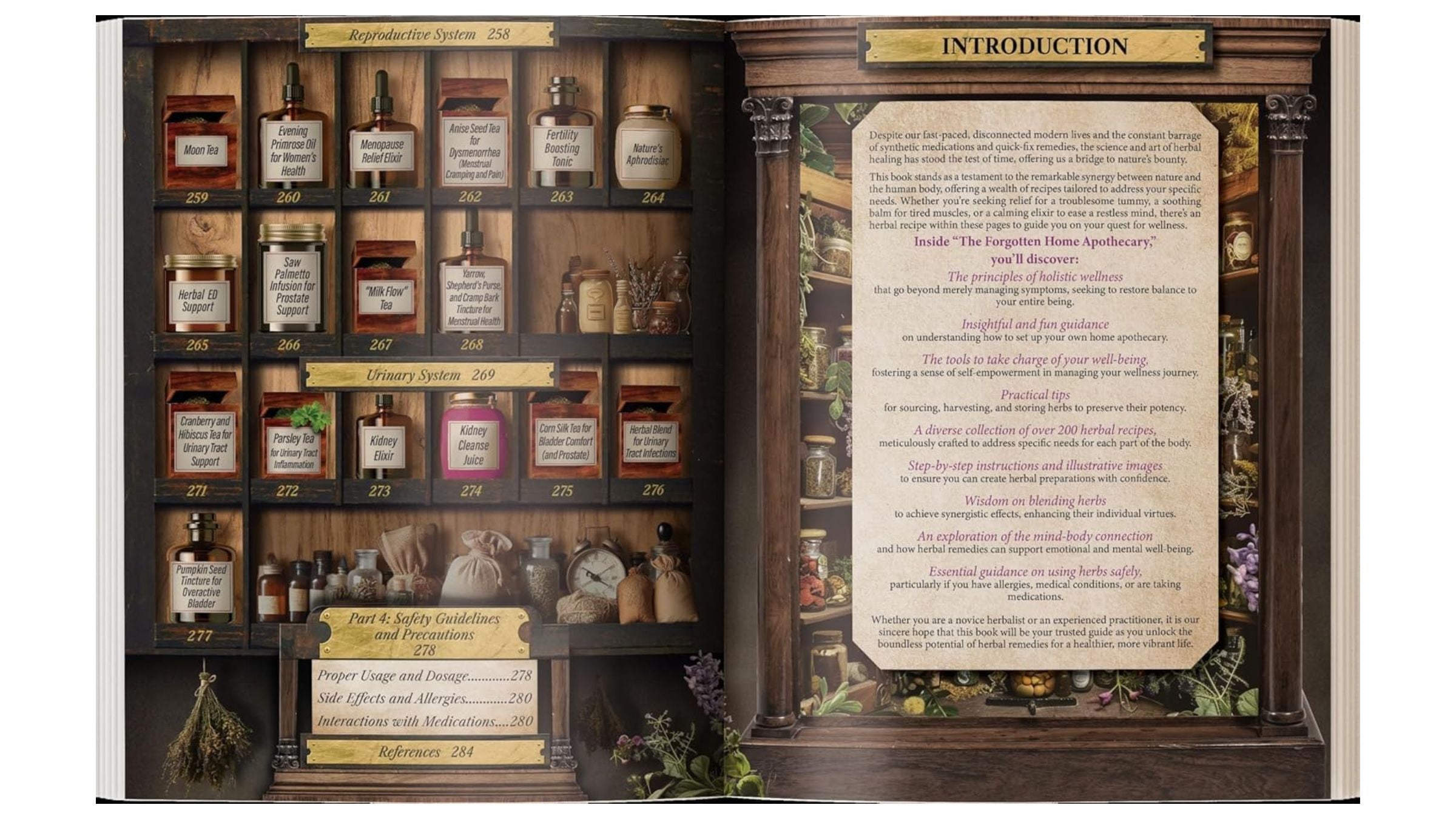 inside of remedy book