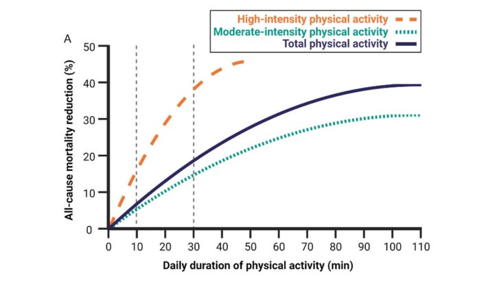 High-intensity exercise extends lifespan more effectively than moderate-intensity exercise.