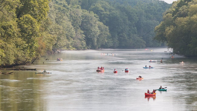 people kayaking down a river