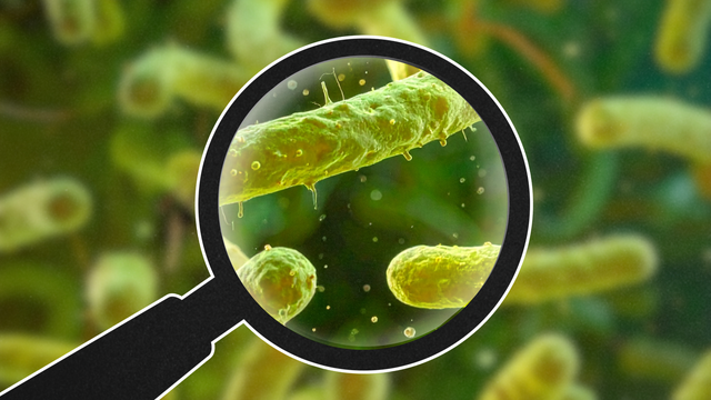Can a Microbiome Test Explain My 15 Years of Gut Health Issues—and Sluggish Workouts?