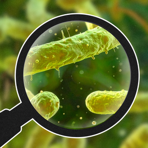 magnifying glass looking at bacteria in the microbiome of a microbiome test