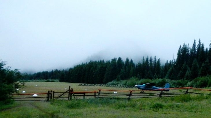 The plane surrounded by fog
