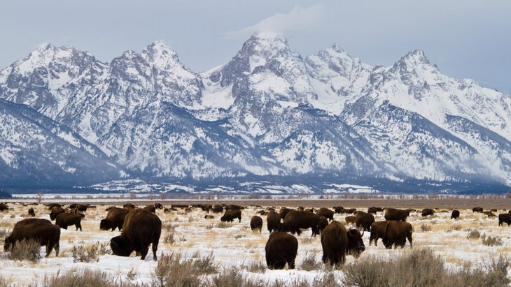 Grand Teton National Park