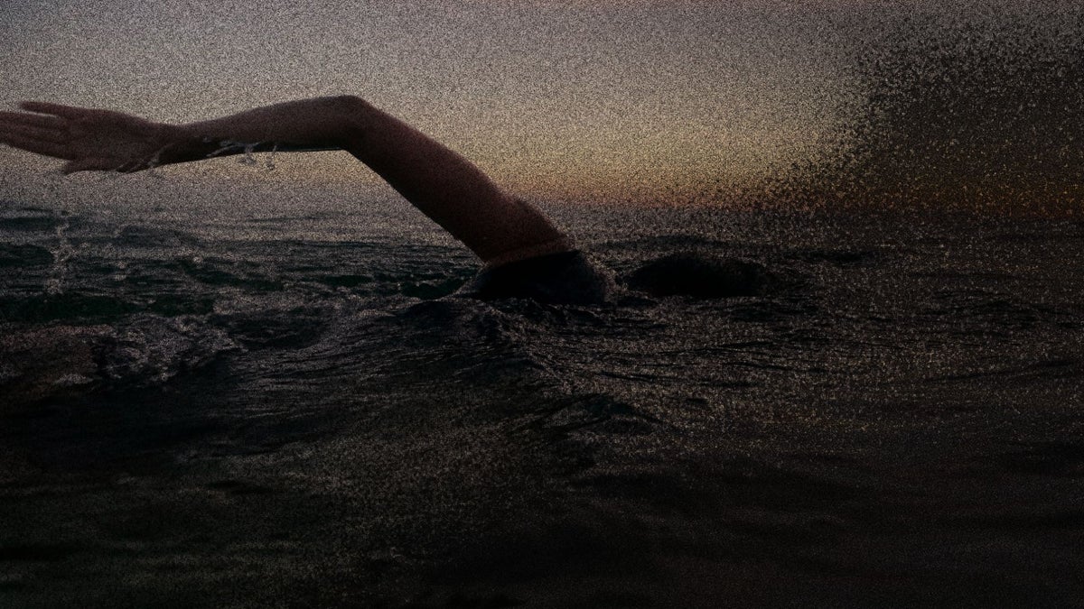 Erica Fox Spent Decades Swimming off the Coast of California. Now, Authorities Believe A Shark Killed Her.