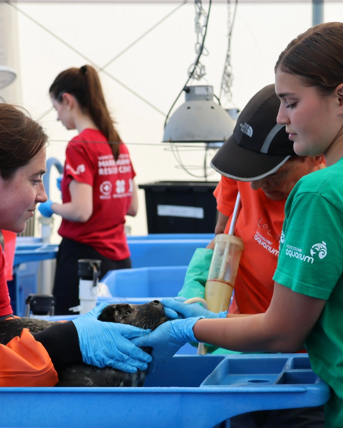 Vancouver Aquarium Marine Mammal Rescue Society