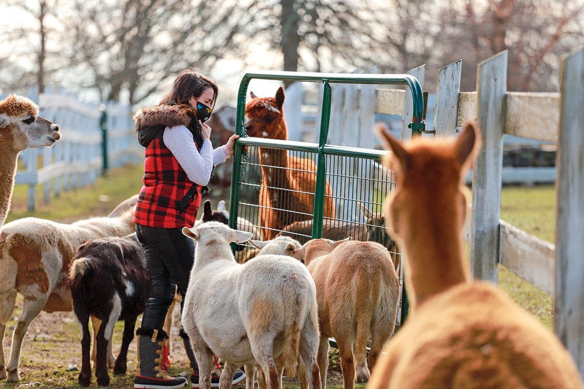 West Place Animal Sanctuary