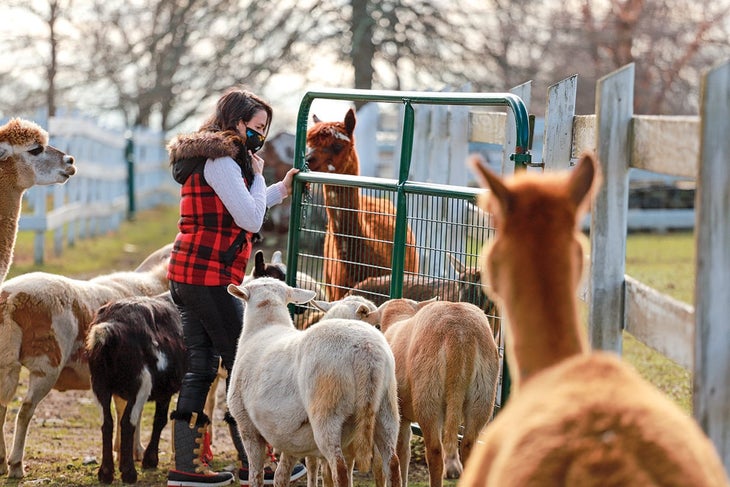 West Place Animal Sanctuary