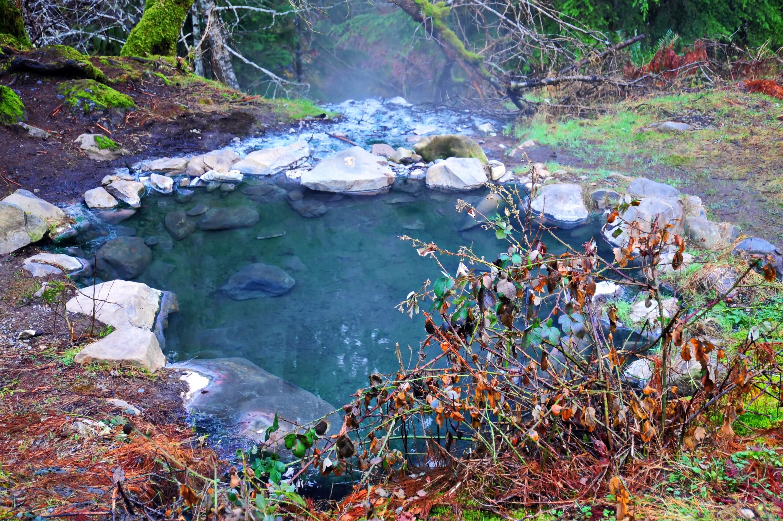One of the hot springs in the Sul Duc area of the Olympic National Park on the Olympic Peninsula, in Washington State.