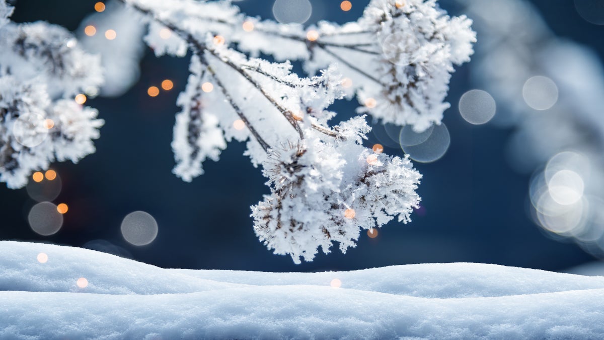 6 Ways to Celebrate the Winter Solstice, the Outside Way