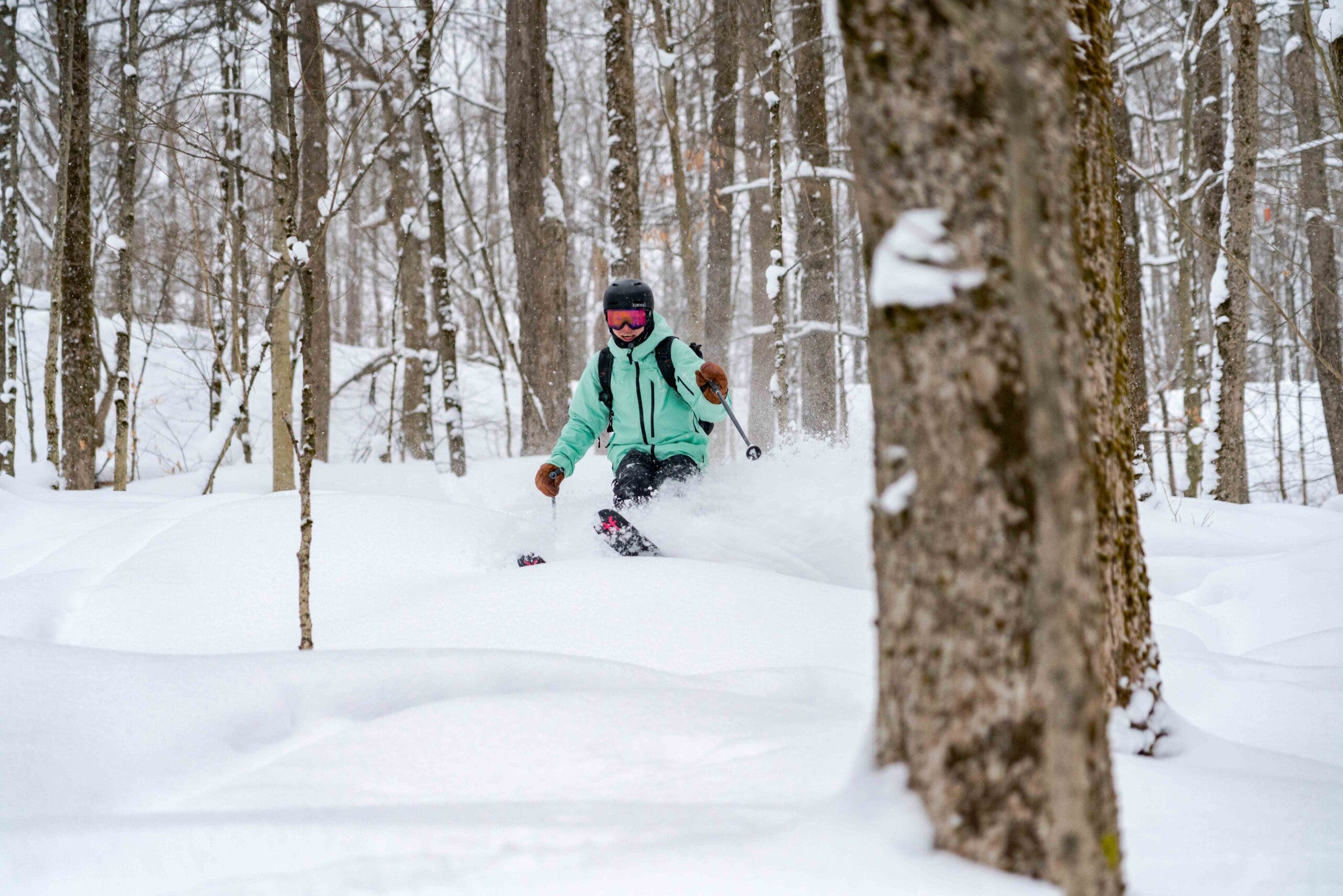 Skiing through trees