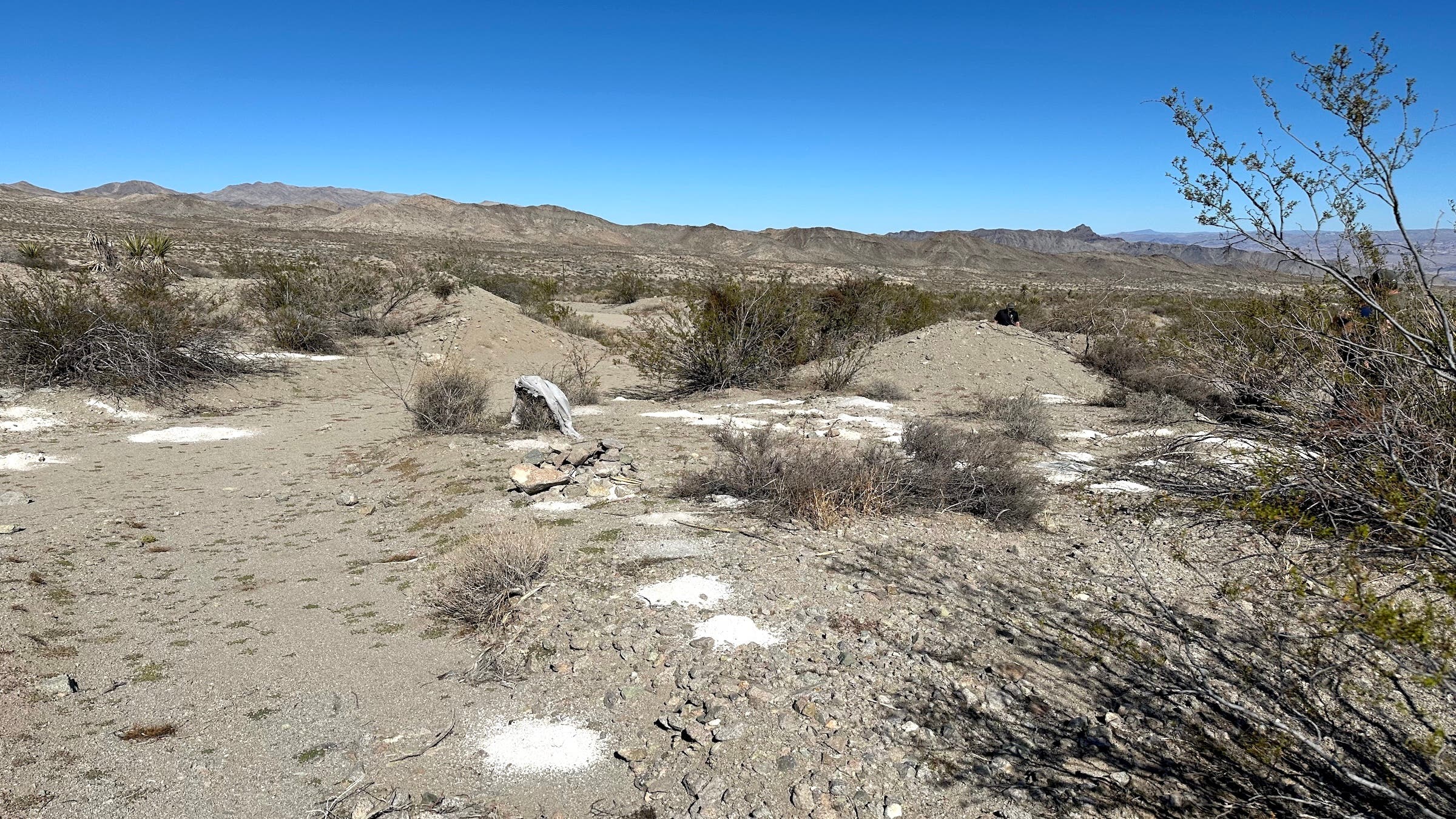 More than 300 piles of "cremains" were discovered in the Mojave Desert