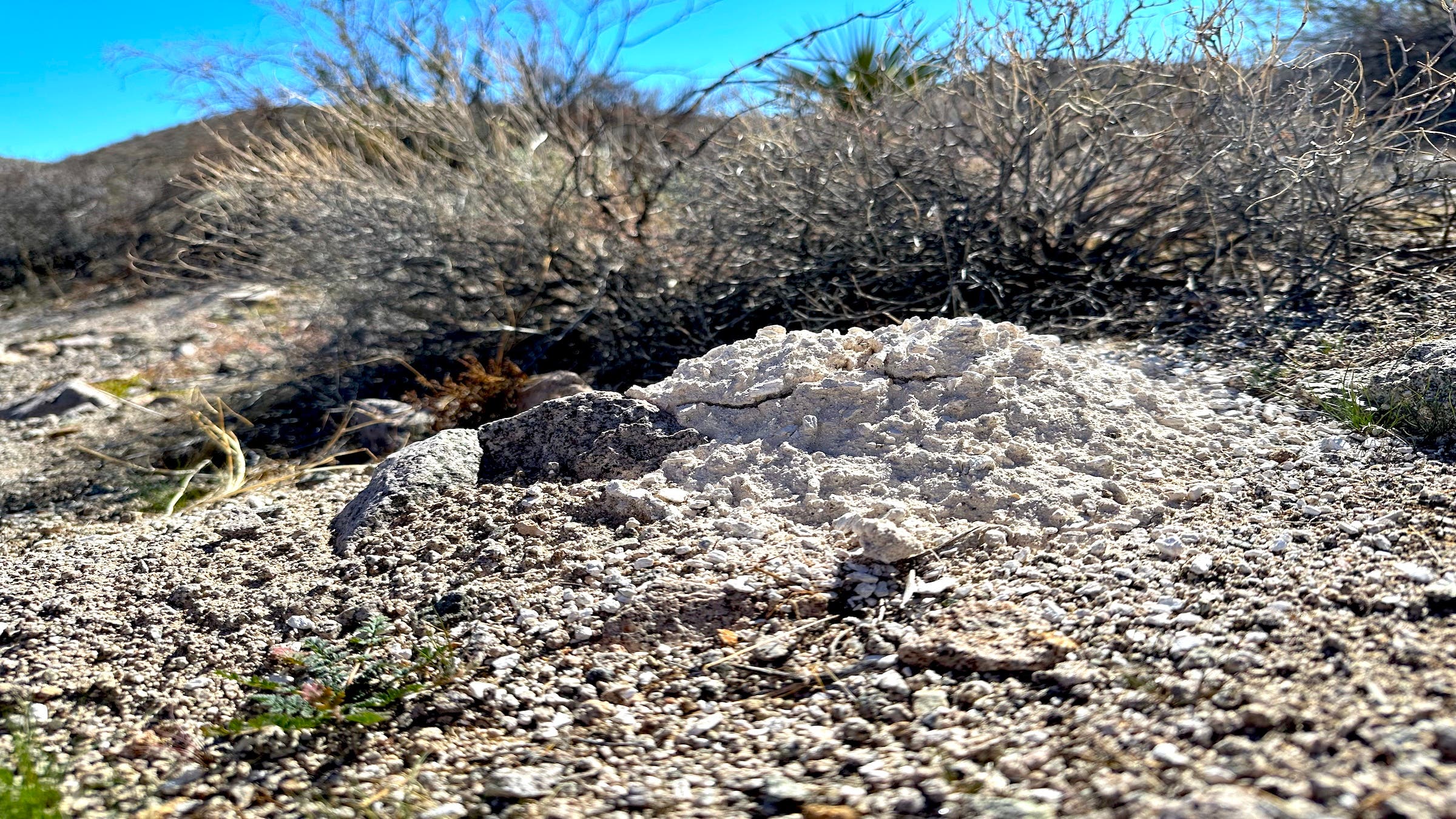 Only three of the piles were identified