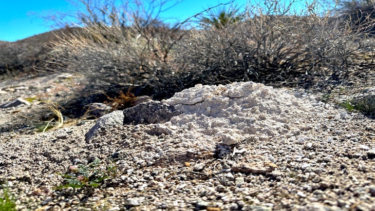 Only three of the piles were identified