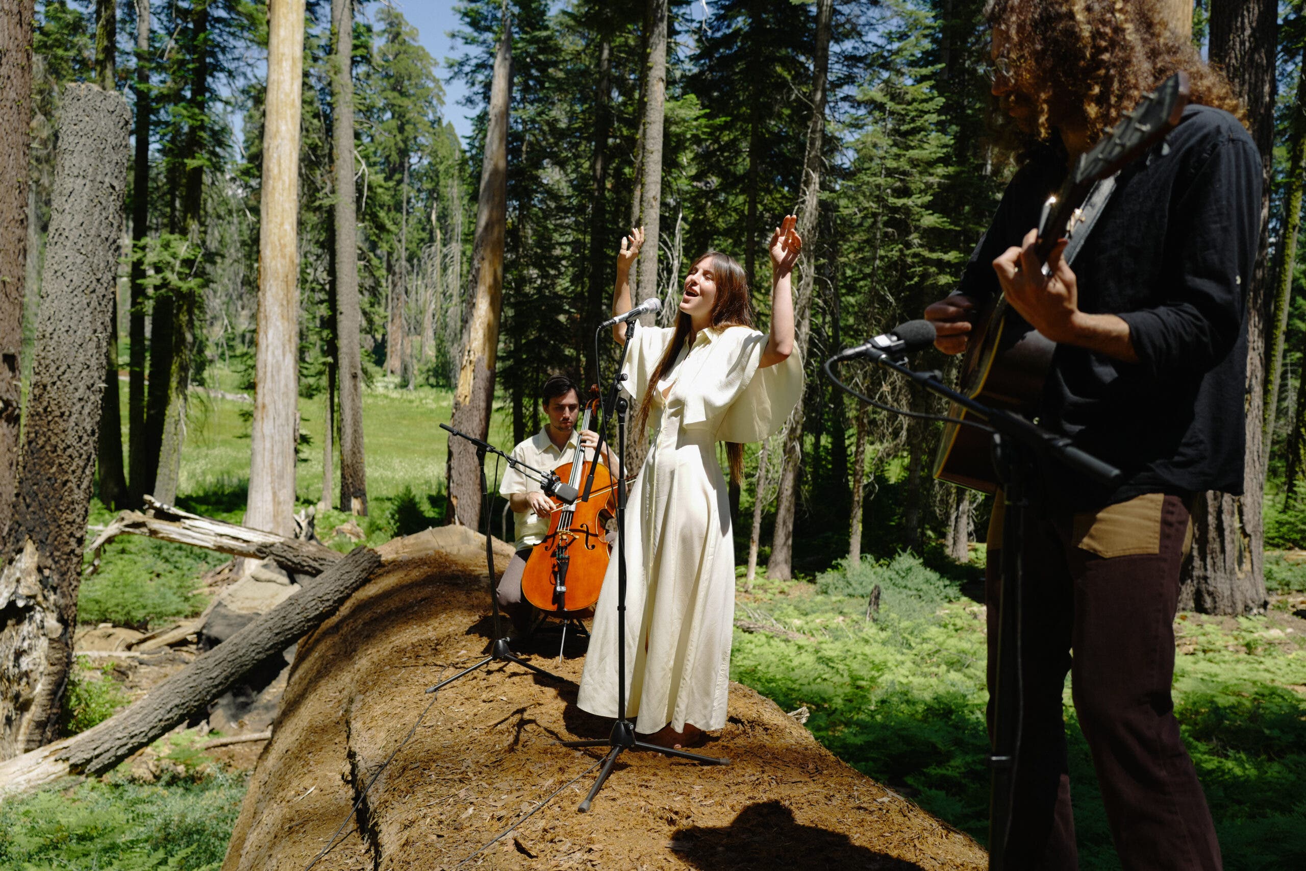 Scout Willis performing in Sequoia National Park.