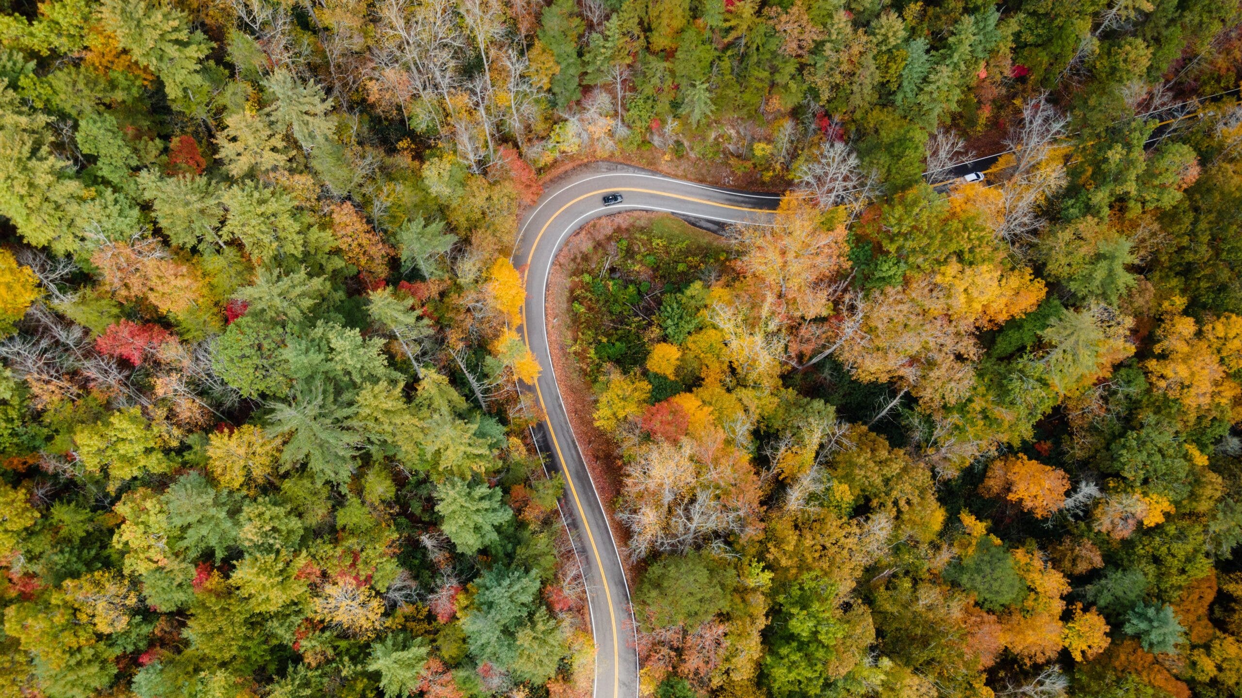 North Carolina’s Tail of the Dragon Road