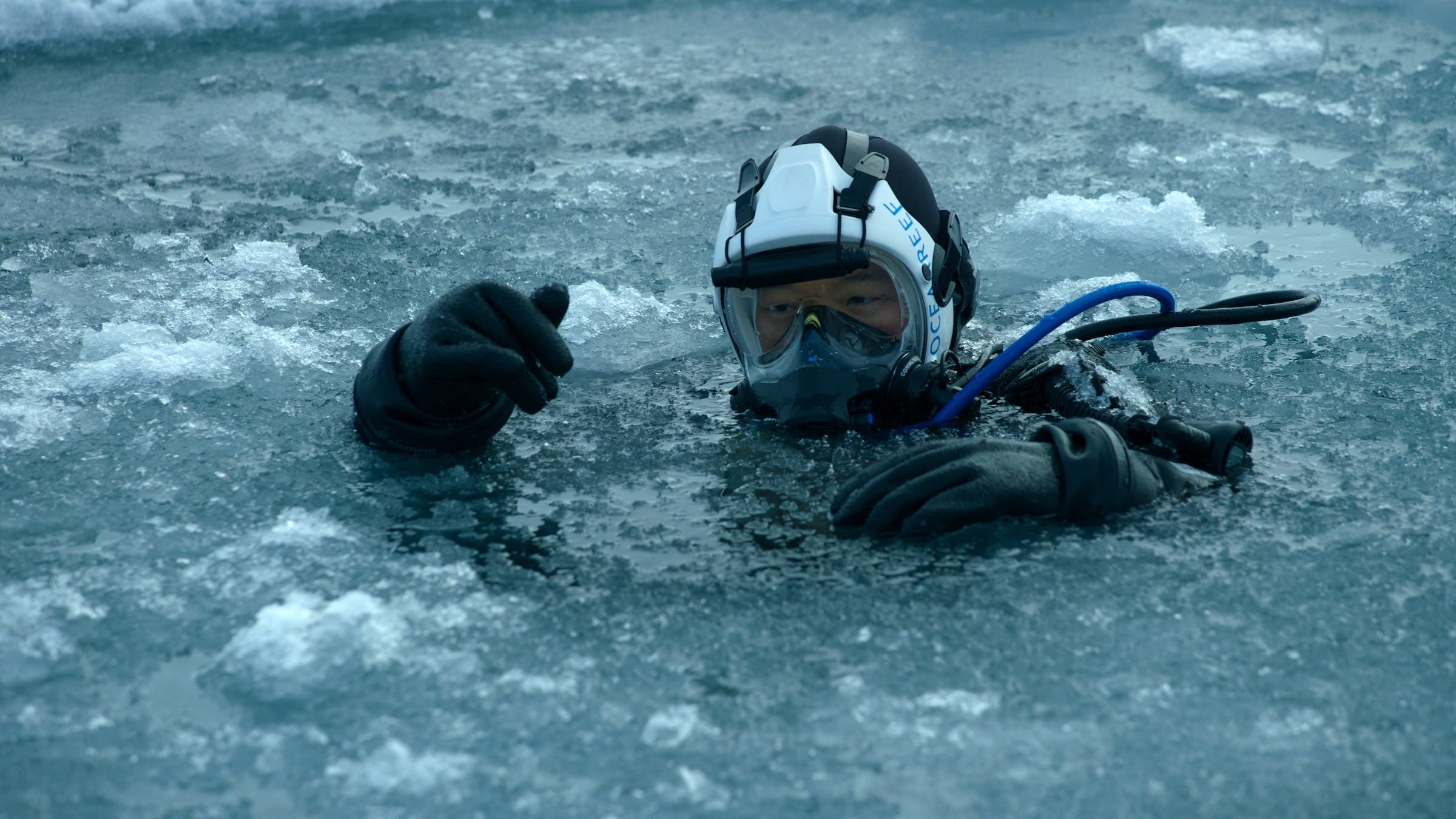 Expedition Leader and Oceanographer Allison Fong prepares to dive under the Arctic Ice in search of samples.